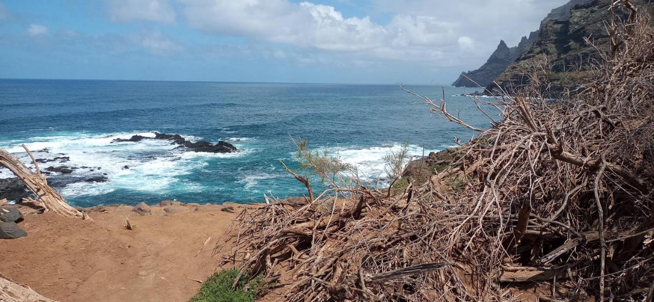 Playa Y Montana: Naturaleza Y Armonia La Laguna  Ngoại thất bức ảnh